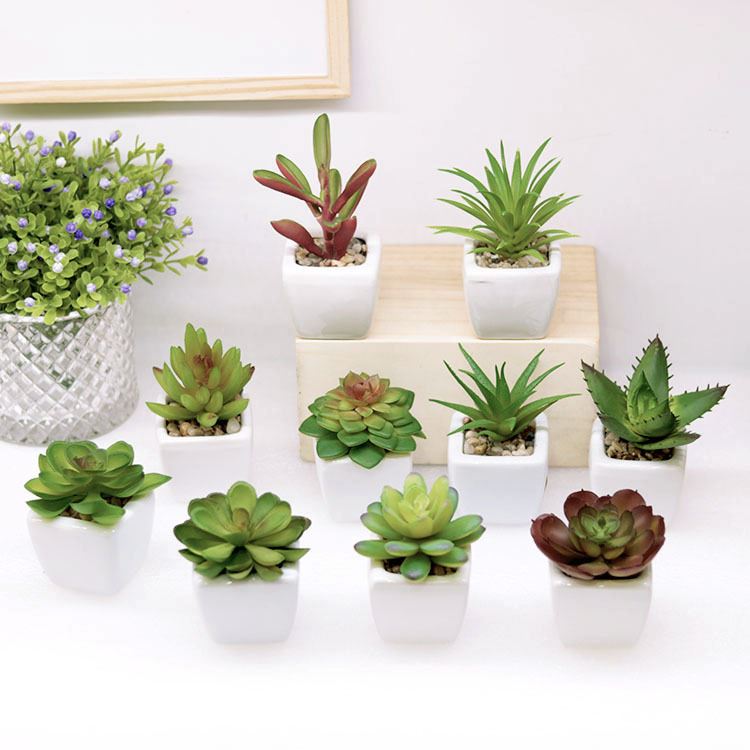 artificial succulents in pots