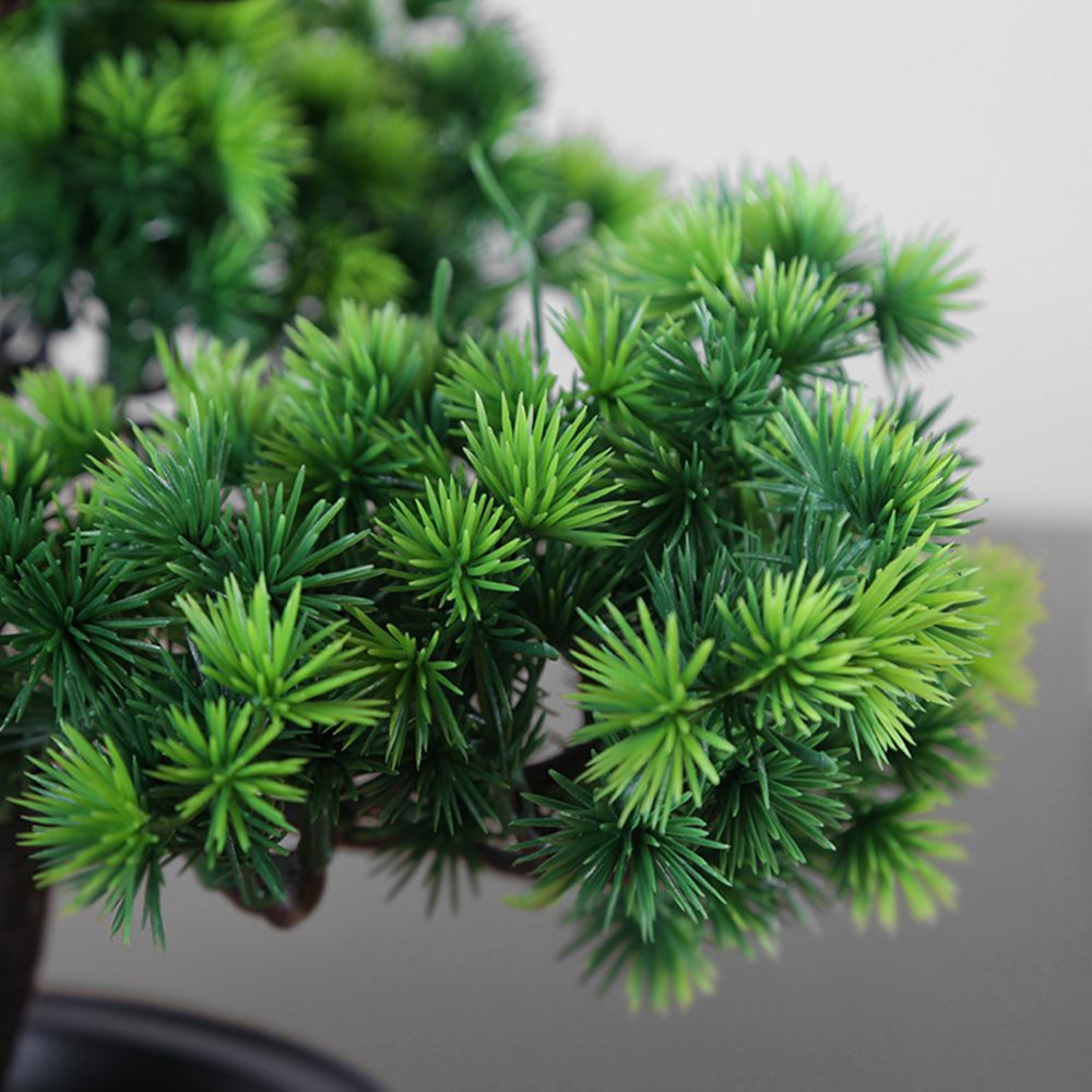 faux small Pine Greeting Guests bonsai