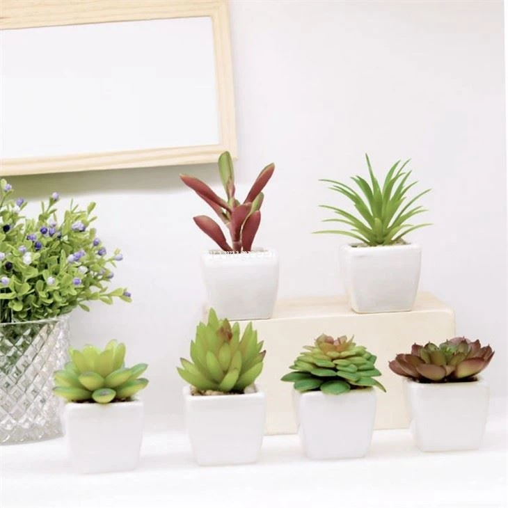 Mini Faux succulents in pots