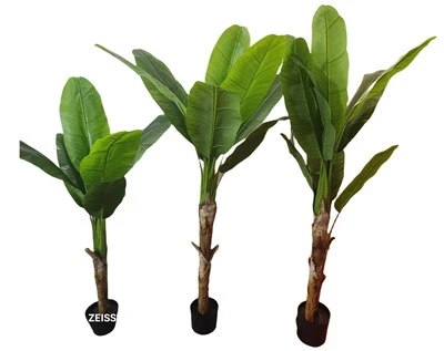 ইনডোরের জন্য নকল চিরসবুজ-বনানা ট্রি বনসাই